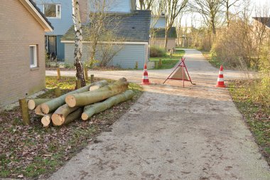Güneşin doğuşuyla ağaçların arasında yol kenarında evler. Sonbahar.
