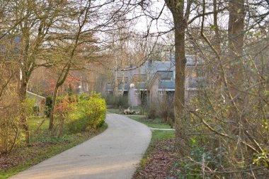 Güneşin doğuşuyla ağaçların arasında yol kenarında evler. Sonbahar.