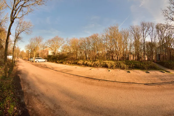 Een Fietspad Tussen Bomen Struiken Een Zonnige Dag Herfst — Stockfoto