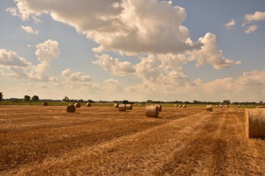 Hasattan sonra mavi gökyüzü ve beyaz bulutların altında sakallı saman balyaları. Sonbahar.