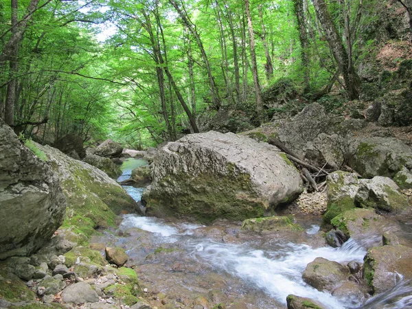 Picturesque Panorama Mountain River Flowing Bottom Canyon Surrounded Stones Covered — Stock Photo, Image