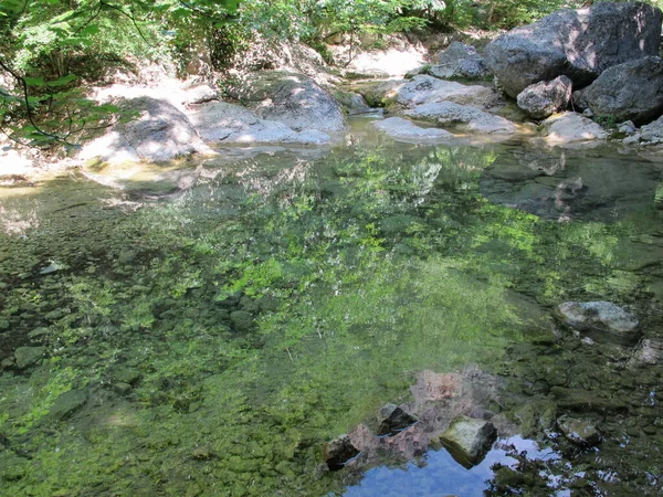 Altos Acantilados Empinados Cubiertos Árboles Reflejan Agua Transparente Río Montaña —  Fotos de Stock