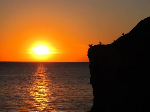 Sunset Seaside Bright Orange Sun Sky Seagulls Sun Reflections Water — Stock Photo, Image