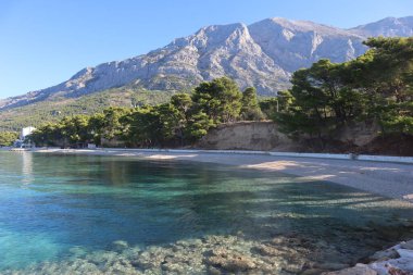 Parlak gök mavisi deniz manzarası, aşağıdaki taşlar berrak sularda, kıyılarda büyüyen çam ağaçları, yüksek dağlar ve mavi gökyüzü, Baska Voda, Hırvatistan