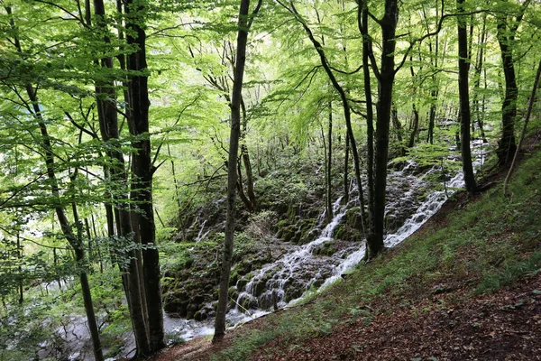 Een Prachtige Waterval Een Berghelling Tussen Een Dicht Bos Stenen — Stockfoto