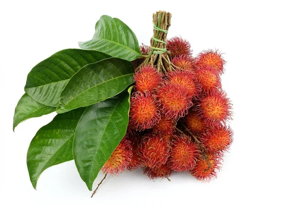 Rambutan Doce Fruta Fundo Branco — Fotografia de Stock