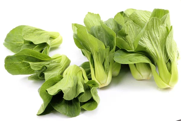 Fehér Alapon Zöld Saláta Kantoni Zöldség — Stock Fotó