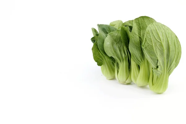 Grüner Kantonesischer Salat Auf Weißem Hintergrund — Stockfoto
