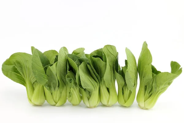 Grüner Kantonesischer Salat Auf Weißem Hintergrund — Stockfoto