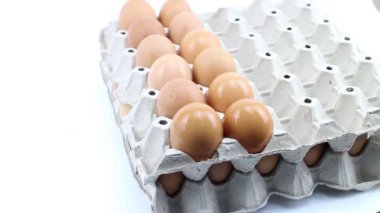  Yumurta tepsi üzerinde sıralama