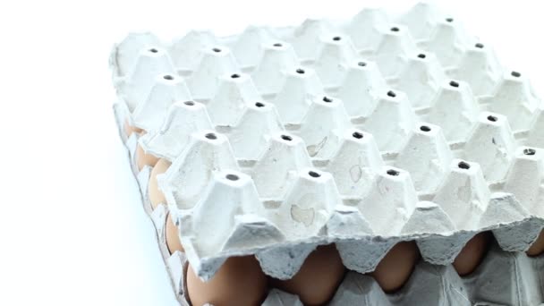 トレイに卵を並べ替え — ストック動画