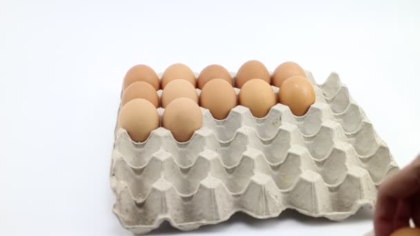 Ταξινόμηση Των Αυγών Στο Δίσκο — Αρχείο Βίντεο