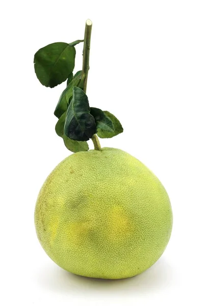 Sweet Pomelo Frukt Vit Bakgrund — Stockfoto