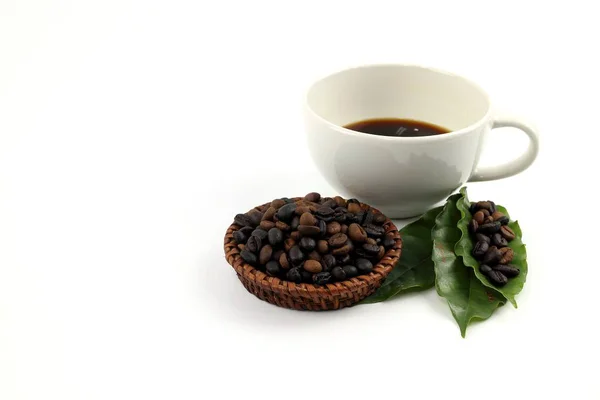 Coffee Seed Black Coffee Isolated White Background — Stock Photo, Image