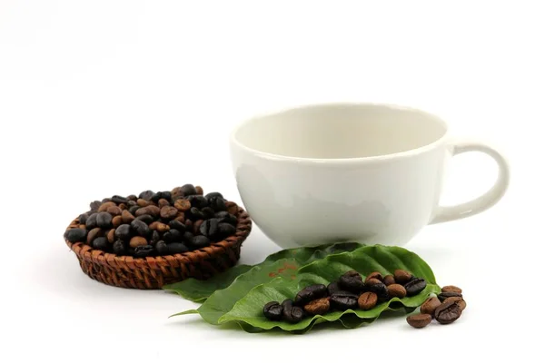 Coffee Seed Black Coffee Isolated White Background — Stock Photo, Image