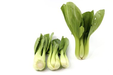 Beyaz zemin üzerine Yeşil taze sebze