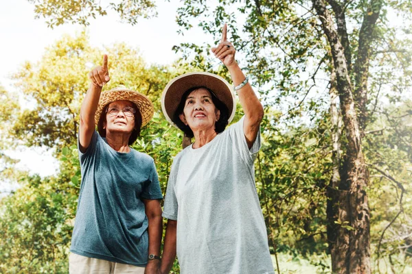 Concept of happiness of elderly women in retirement : Asian elderly couple walking outdoors together to point and be a guide to look at the green tree gardens in summer.