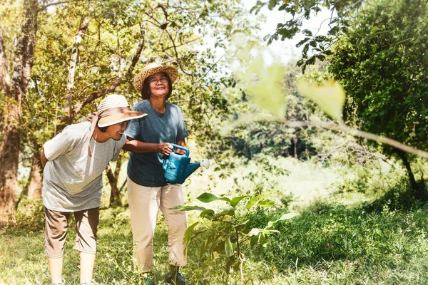 Concetto Felicità Delle Donne Anziane Pensione Donne Anziane Asiatiche Fanno — Foto Stock