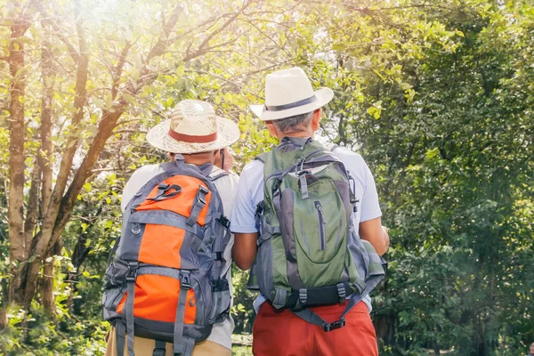 Back View Two Senior Men Carrying Backpack Eco Tourism Nature — Stock Photo, Image