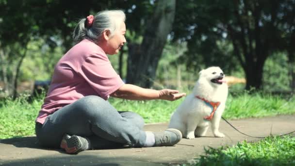 Nazik Yaşlı Asyalı Kadın Parkta Yürüyüşe Gelen Tüylü Beyaz Köpek — Stok video