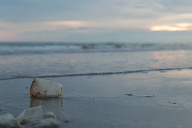 Plastik su şişeleri, çöp, kirlilik, Sahilde sol Çevre Koruma (Çevre Konsepti Doğal Tedavi)