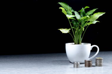 Beyaz kahve fincanında bir ağaç masanın üzerinde bir yığın para (finansal büyüme iş fikri))