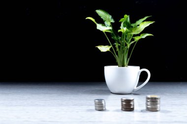 Beyaz kahve fincanında bir ağaç masanın üzerinde bir yığın para (finansal büyüme iş fikri))