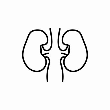 Böbrek ikonu. Böbrek vektör çizimi. Web ve mobil için sembol