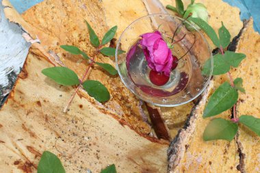 Bir bardak suda bir çiçeğin fotoğrafını çekmek.