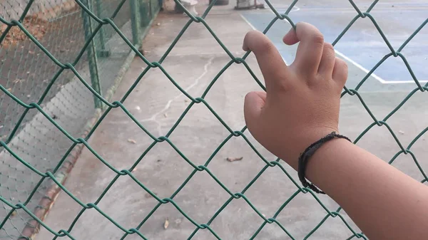 Рука Товстого Хлопчика Штовхає Сітку Парк Його Пальці Торкаються Сітки — стокове фото