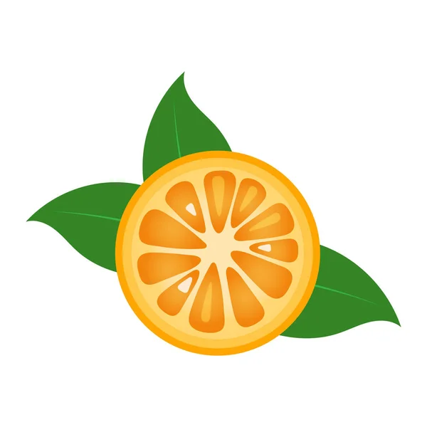 Ícone de closeup de fatia de frutas laranja, pedaço redondo de laranja. Design de logotipo, ilustração vetorial plana . — Vetor de Stock