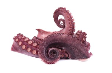 Beyaz arka plan üzerinde izole ahtapot tentacles