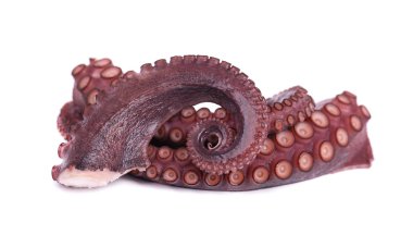 Beyaz arka plan üzerinde izole ahtapot tentacles