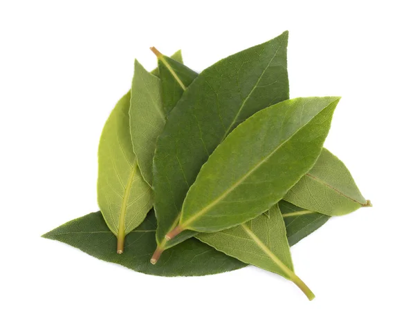 Färska gröna blad av lagerblad isolerad på vit bakgrund. Laurus isolerade. — Stockfoto