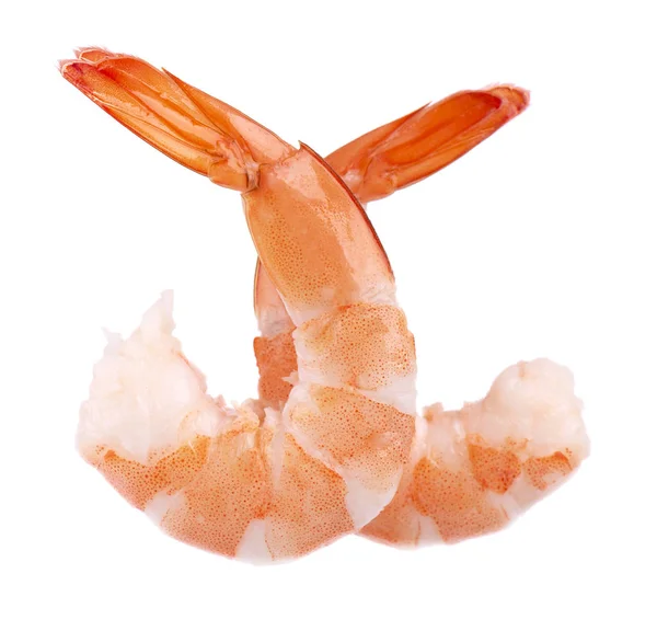 Two red cooked prawn or tiger shrimp isolated on white background — Stock Photo, Image