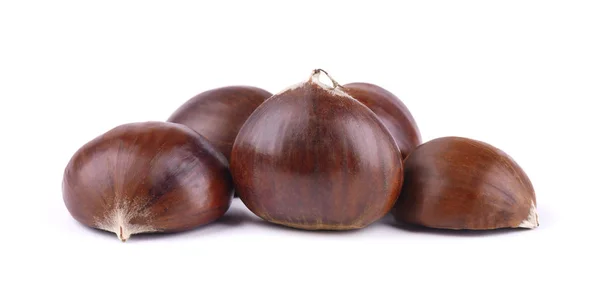 Fresh chestnuts with peeled roasted chestnut isolated on white background. Hippocastanum isolated — Stock Photo, Image