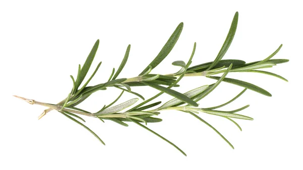 Sprig of fresh rosemary isolated on white background. Rosemary branch. Top view — Stock Photo, Image