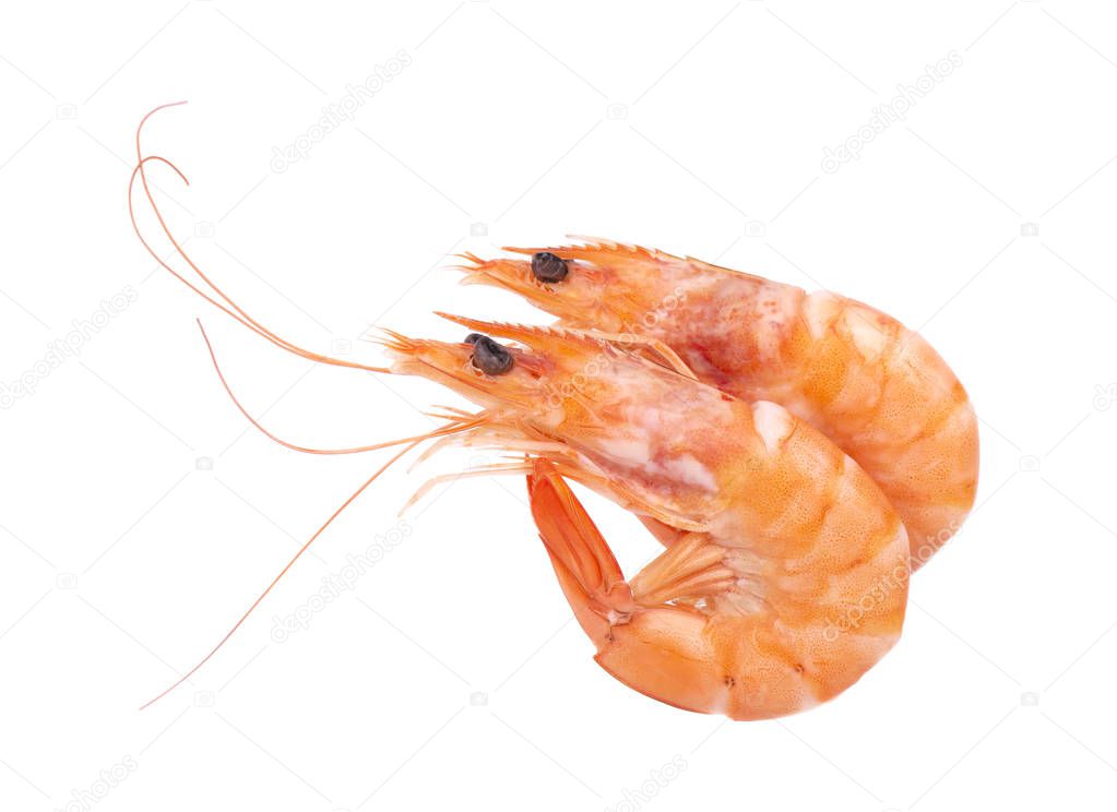 Two red cooked prawn or tiger shrimp isolated on white background