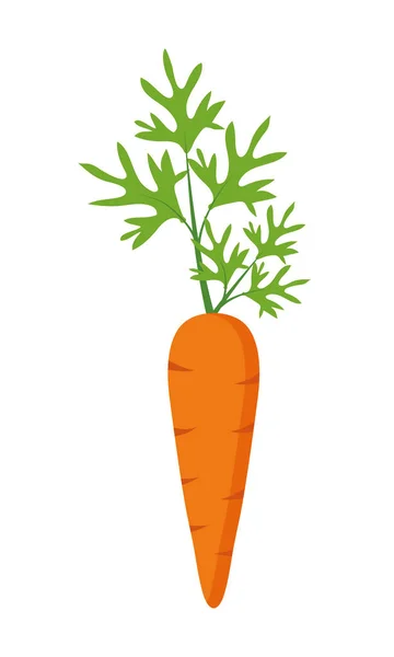 Морковь в плоском дизайне на белом фоне. Векторная иллюстрация — стоковый вектор