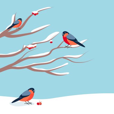 Dağ kül karla kaplı dalı oturan şakrak kuşu. Noel ve yılbaşı tebrik kartları tasarımı.