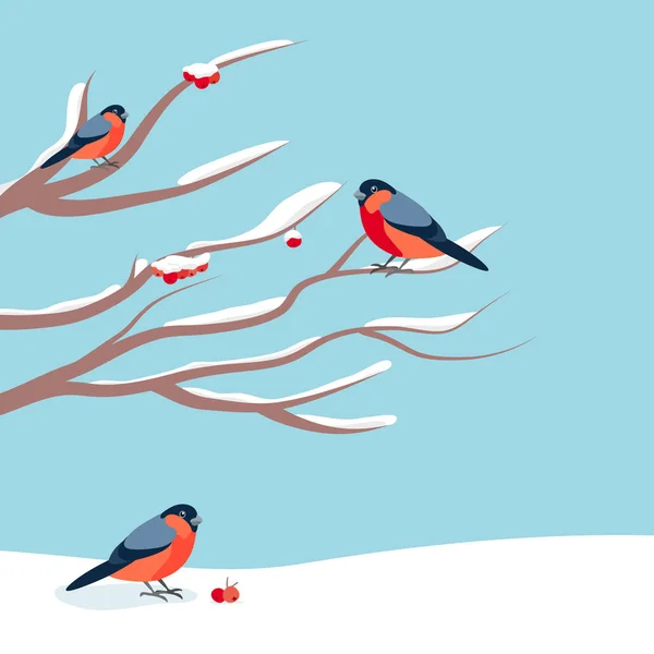 Bullfinch sentado en la rama cubierta de nieve de ceniza de montaña. Tarjetas de felicitación de diseño de Navidad y Año Nuevo . — Archivo Imágenes Vectoriales