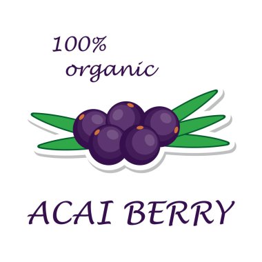 Acai çilek. Organik madde. Sağlıklı çevre gıda. Beyaz arka plan üzerinde izole etiket. Vektör çizim.