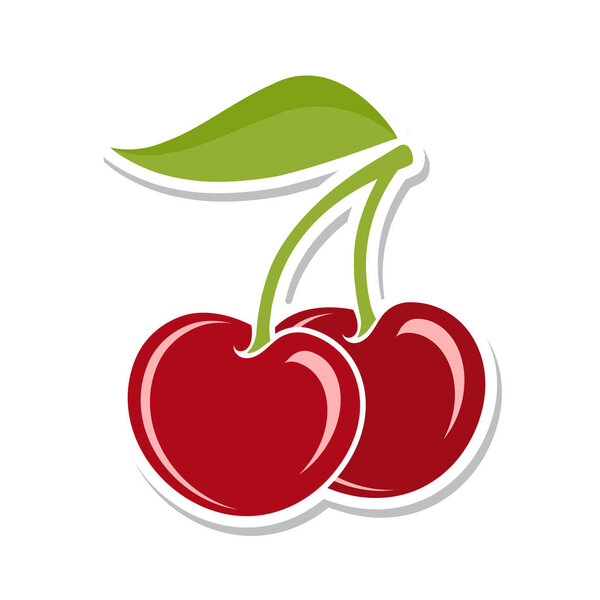 Cherry. Sweet fruit. Isolated berries on white background. Vector illustration.