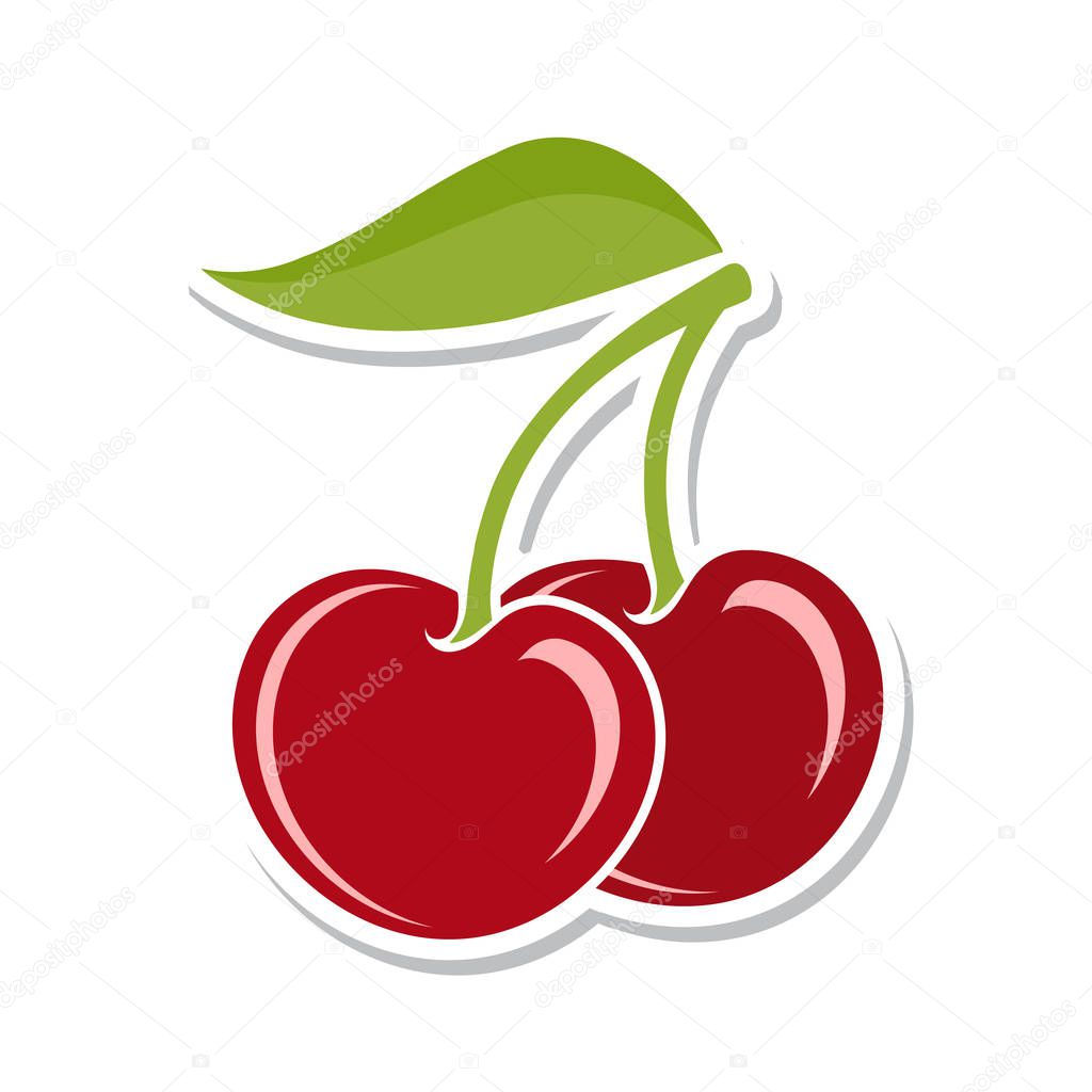 Cherry. Sweet fruit. Isolated berries on white background. Vector illustration