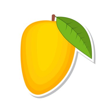 Mango. Tatlı meyve. Beyaz arka plan üzerinde izole meyve. Vektör çizim.