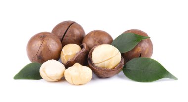 Beyaz arka plan üzerinde izole yapraklarla Macadamia fıstığı. Kabuklu ve unshelled macadamia.