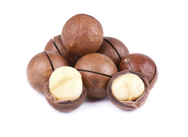 Macadamianötter, isolerad på vit bakgrund. Skalade och oskalade macadamia. — Stockfoto