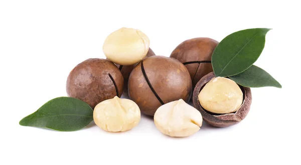 Macadamianötter Med Blad Isolerad Vit Bakgrund Skalade Och Oskalade Macadamia — Stockfoto