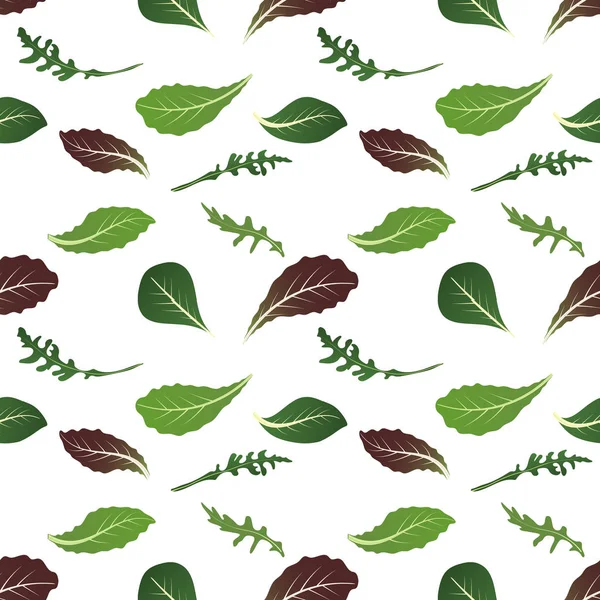 Mélange de feuilles de salade. Roquette, épinards, feuilles de laitue, cresson et radicchio. Modèle sans couture. Illustration vectorielle . — Image vectorielle