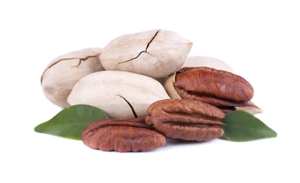 Pecan nuts with leaves, isolated on white background. Shelled and unshelled pecan. — Stock Photo, Image